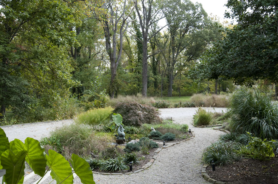 garden
